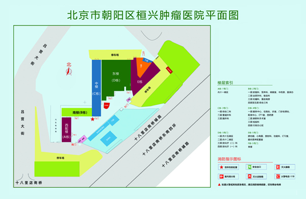 艹我网北京市朝阳区桓兴肿瘤医院平面图